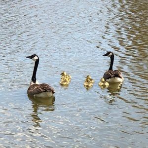 Meet your Posher, Christie